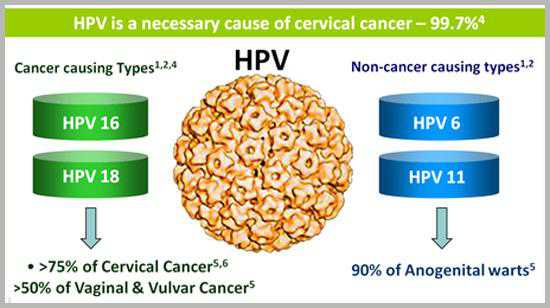 Cervical Cancer Cause and Prevention