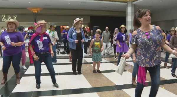Local cancer survivors get recognized and celebrated at local event